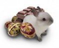 /album/galeria-de-fotos-montagem-imagens/pascoa-feliz-bunny-jpg/